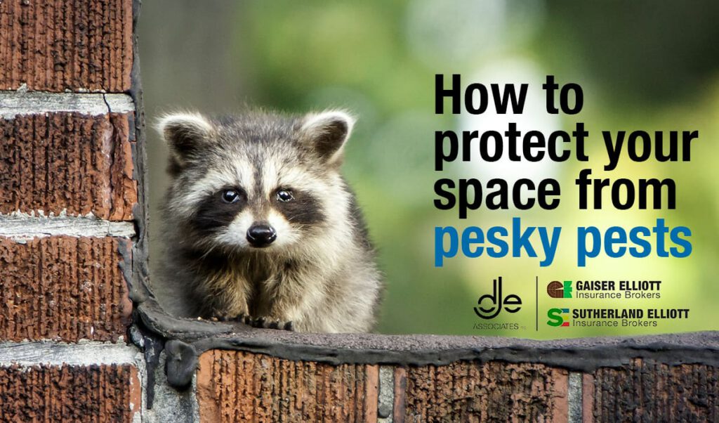 How to protect your space from pesky pests - DJE and Associates Inc.