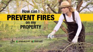 Woman minimizing the risk of fires on her property with garden maintenance