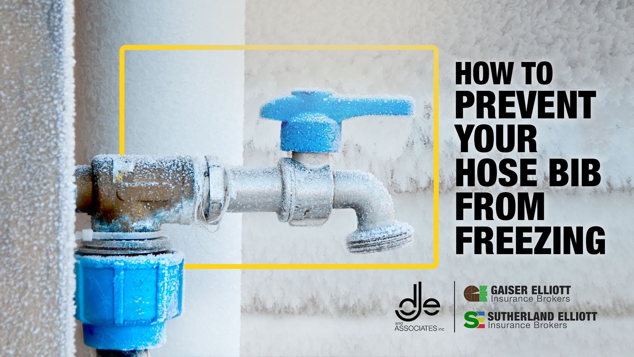 frozen hose bib