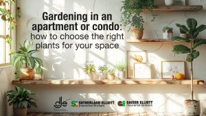 plants for apartments and condos