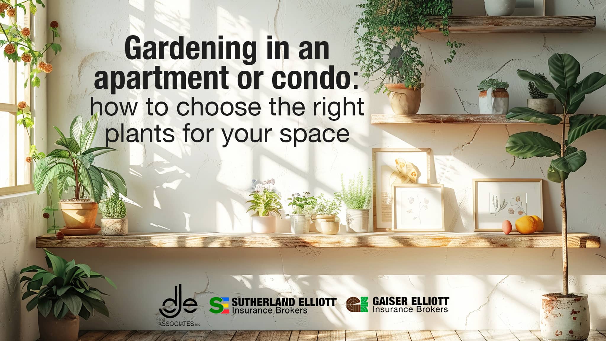plants for apartments and condos